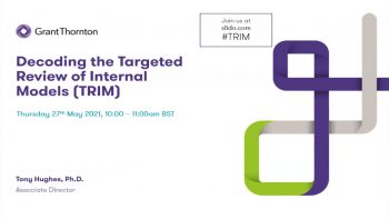 Decoding the Targeted Review of Internal Models (TRIM)