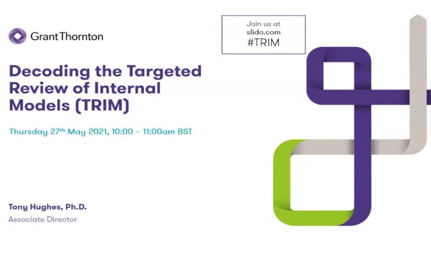 Decoding the Targeted Review of Internal Models (TRIM)