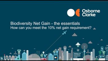 Biodiversity Net Gain – How can you meet the 10% Net Gain requirement?