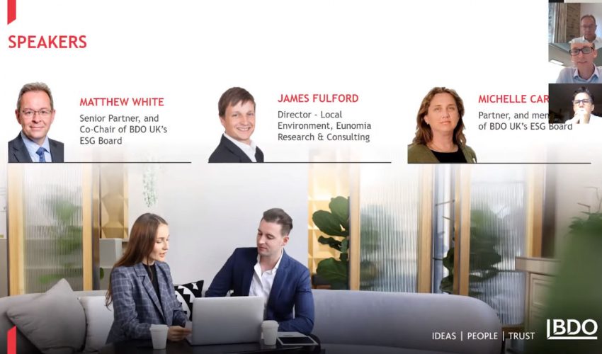 BDO Professional Services: Understanding ESG and its importance in the professional services world