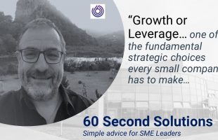 Growth or Leverage. A key small business decision