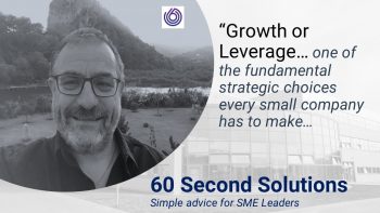 Growth or Leverage. A key small business decision