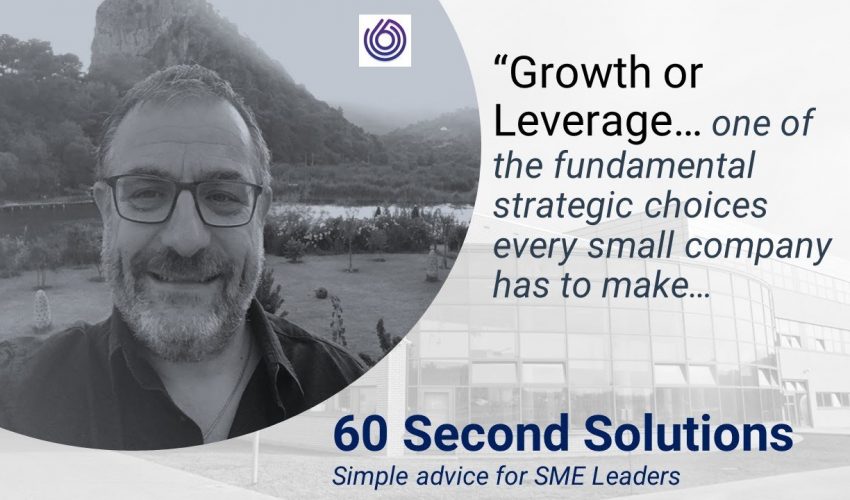 Growth or Leverage. A key small business decision