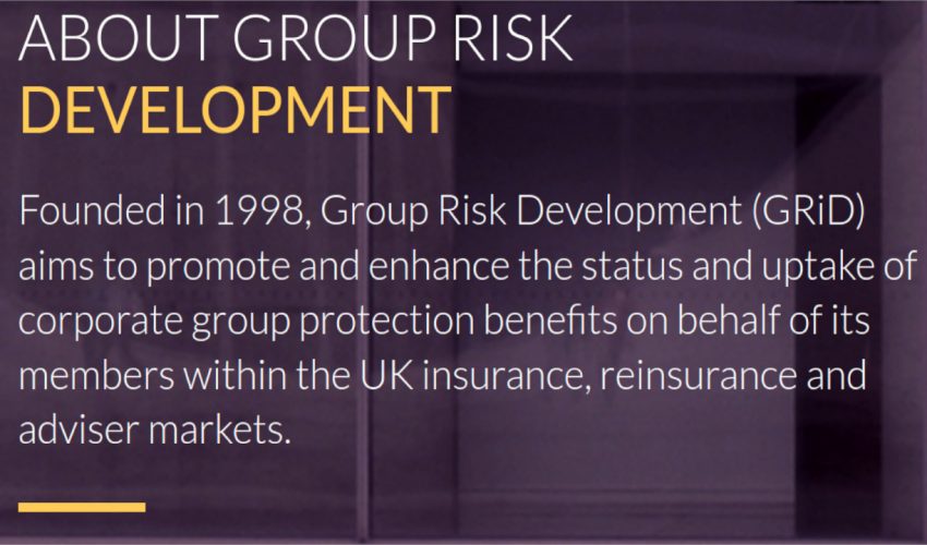 GRiD – Group Risk Development  chat to BusinessTV