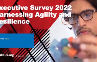 Make UK and PwC Executive Survey 2022 webinar