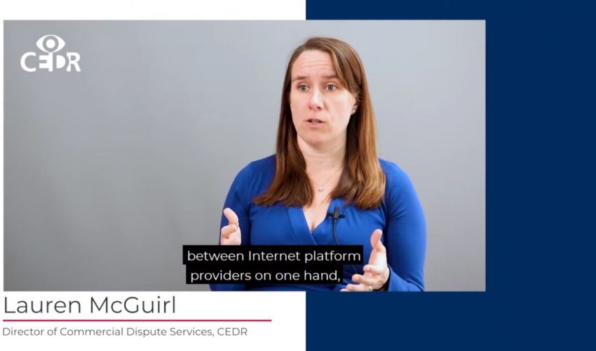 The CEDR Guide to the EU Platform-to-Business Regulation