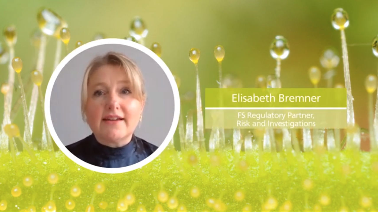 The Regulated Financial Services Sector | Managing Investigation Video Series