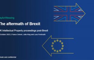 What do UK trade mark proceedings look like in a post-Brexit world?