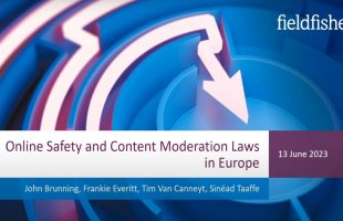 Online safety and content moderation laws in Europe – your questions answered!
