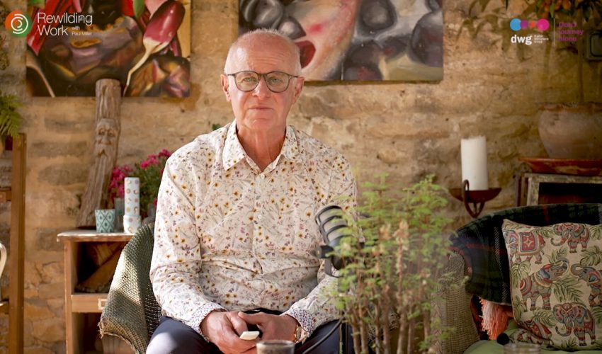 Shoots: My five insights on AI and work