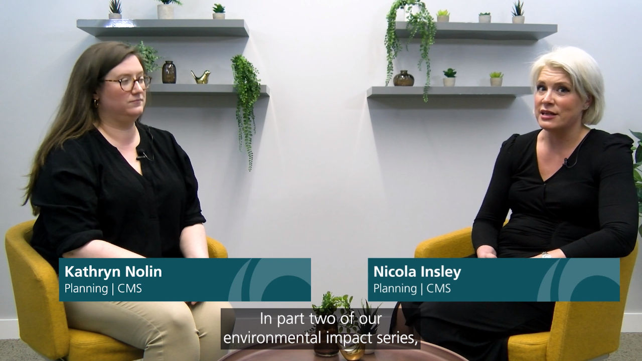 What should you include in an environmental statement?