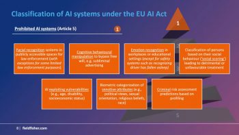 Assessing “high risk AI systems” under the EU AI Act