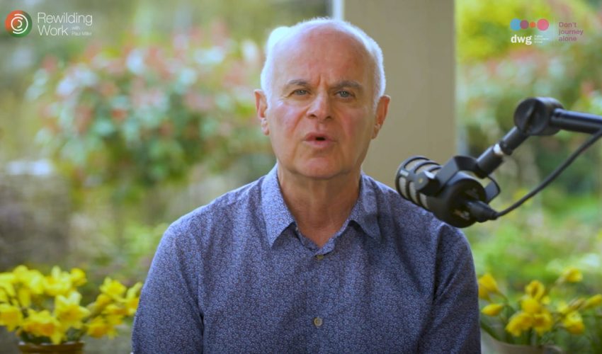 Shoots: How the digital workplace became lonely and not fun