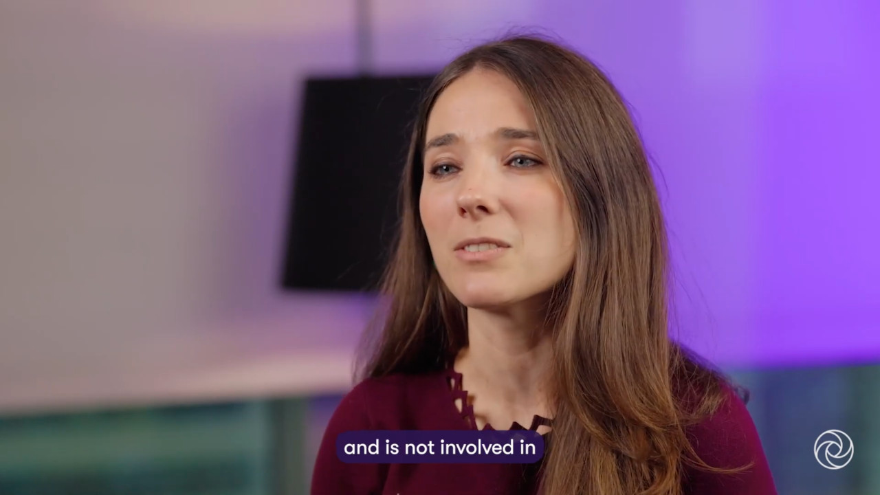 How do auditors approach investigations? General Counsel.