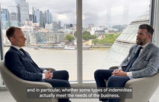 Indemnification | What does an indemnity cover?