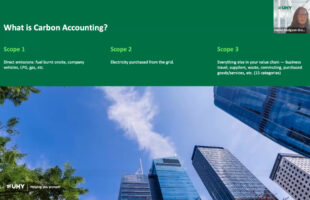 Helping you prosper: Turning carbon reporting into a business opportunity