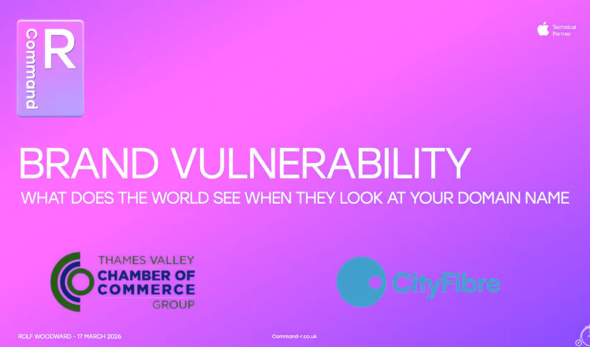 Brand Vulnerability: What does the world see when they look at your Domain Name